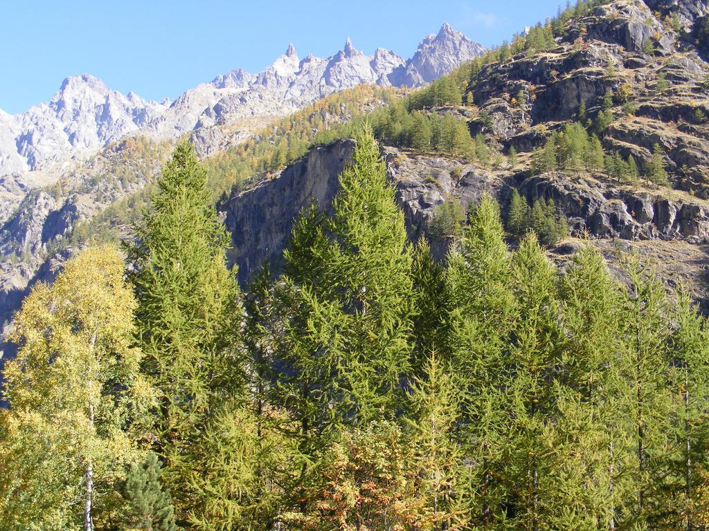 Chalet Hotel D'Ailefroide Екстериор снимка